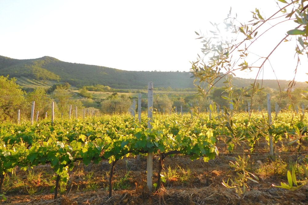 Photo of Outdoor in Magione