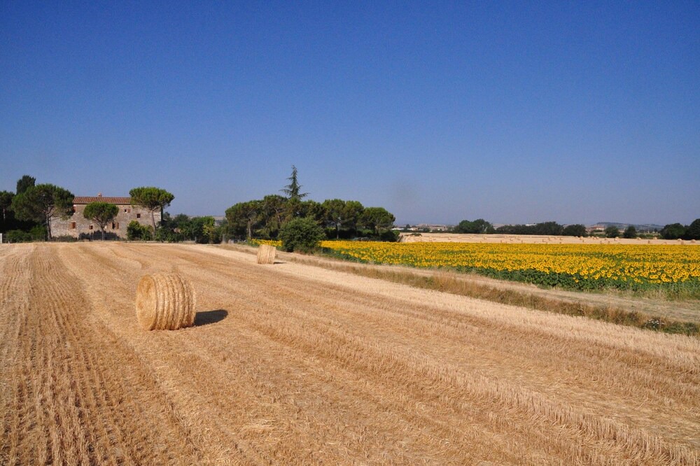 Photo of Outdoor in Asciano