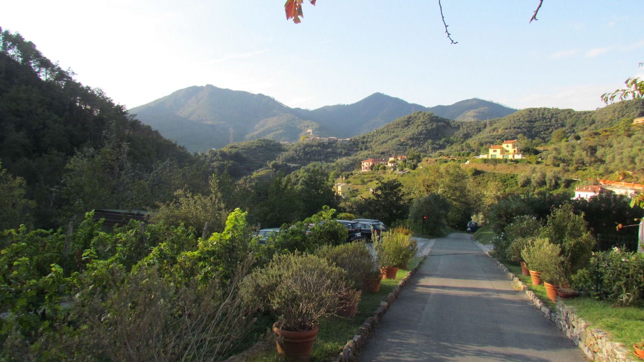 Photo of Others in Levanto
