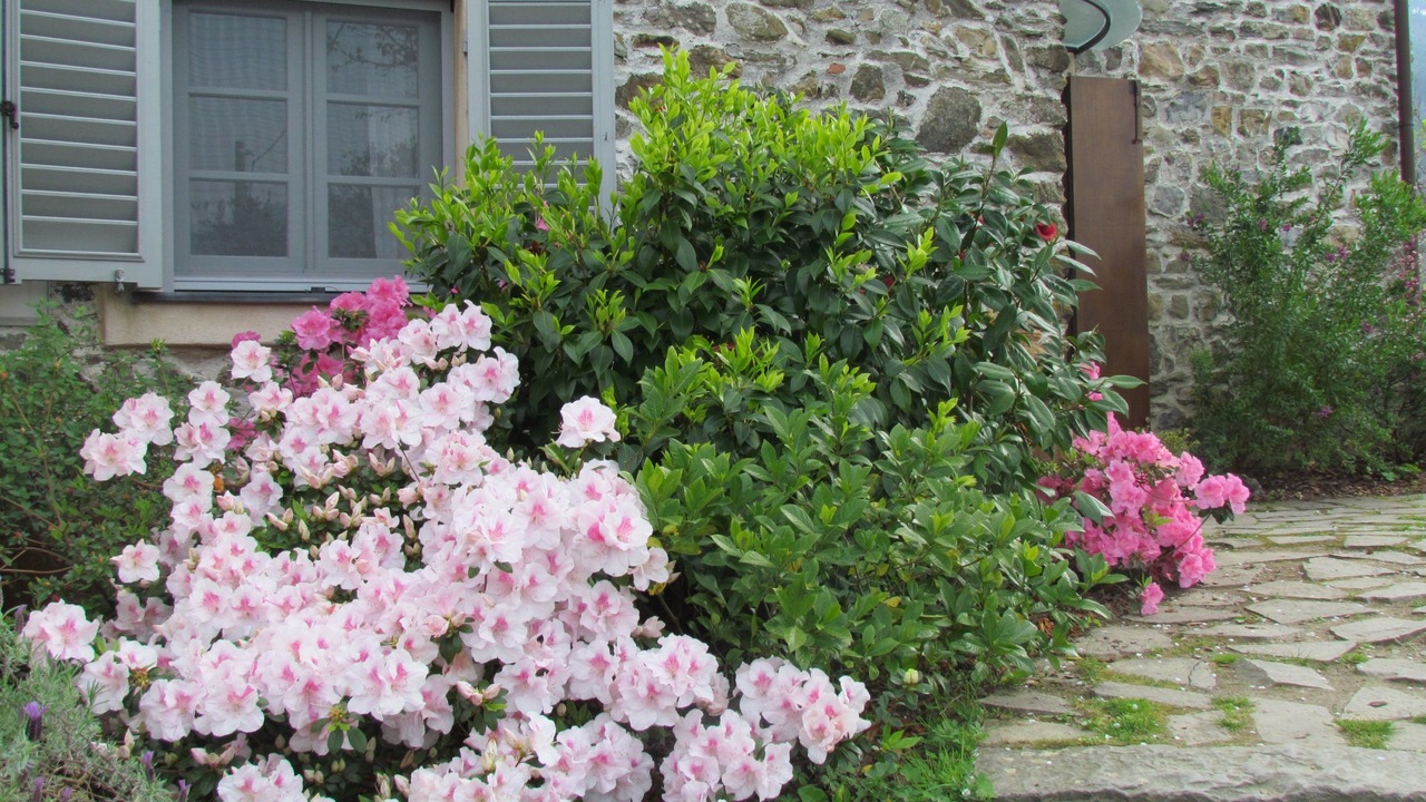 Photo of Outdoor in Levanto