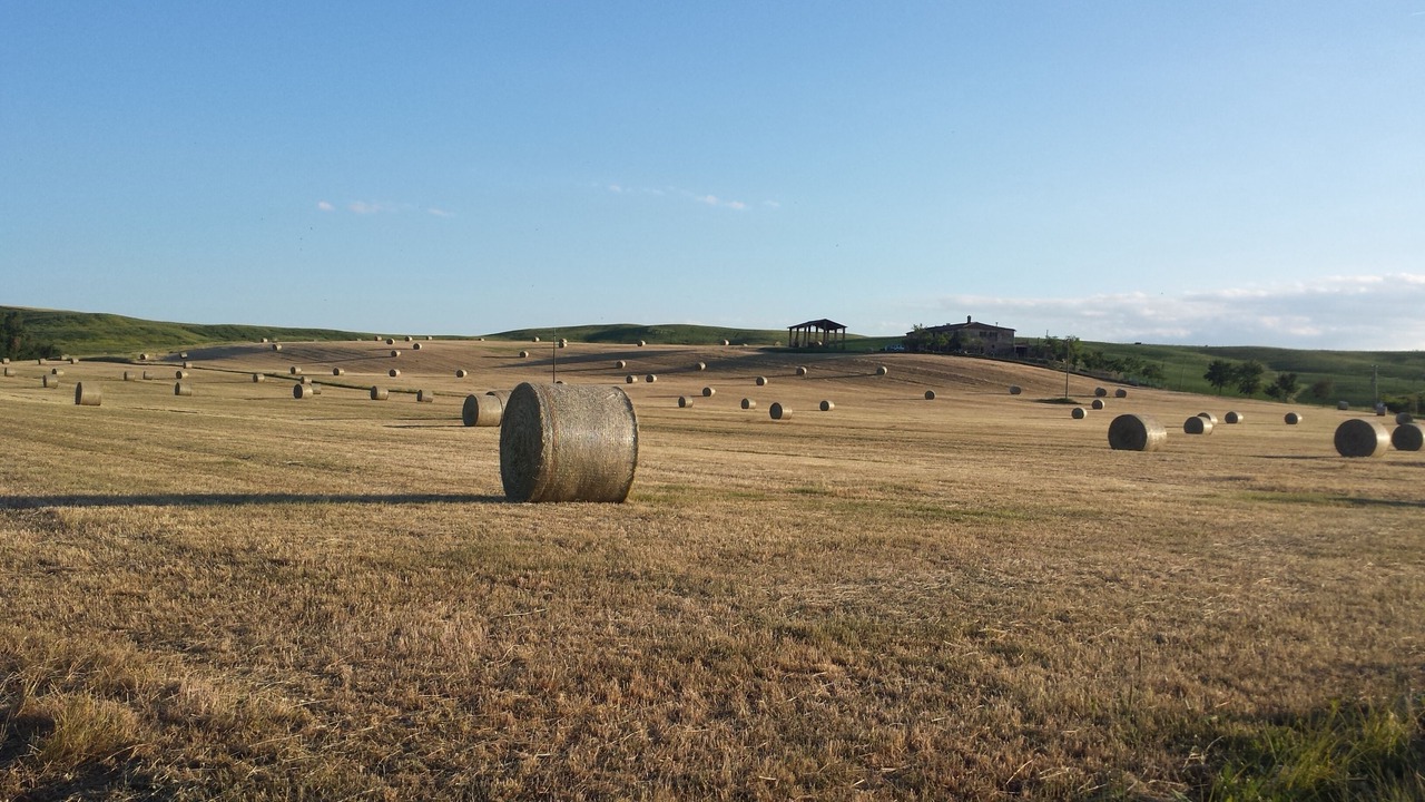 Photo of Outdoor in Monteroni d'Arbia