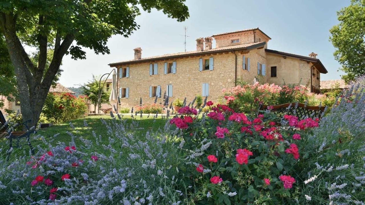Photo of Outdoor in Paullo