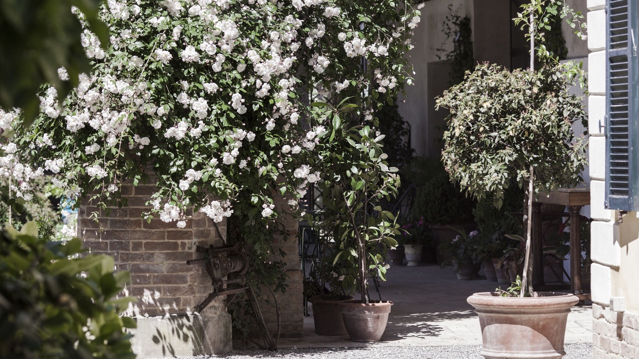 Photo of Outdoor in Porporano
