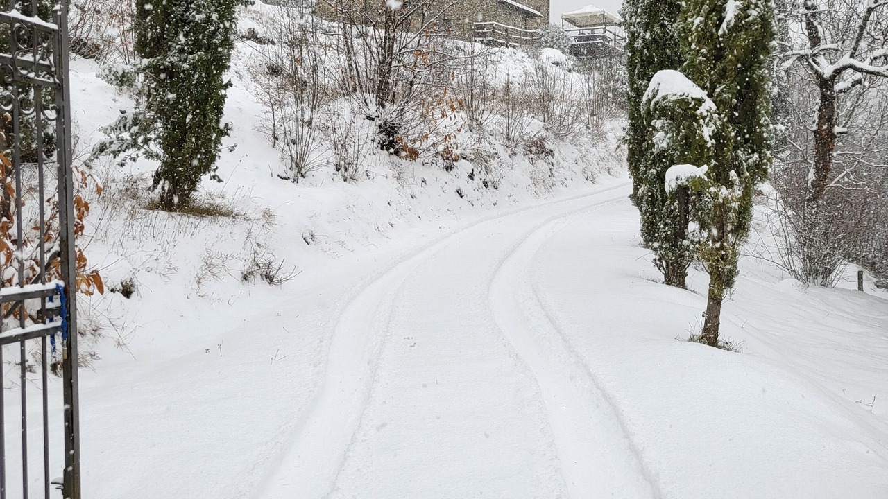Photo of Outdoor in Talla