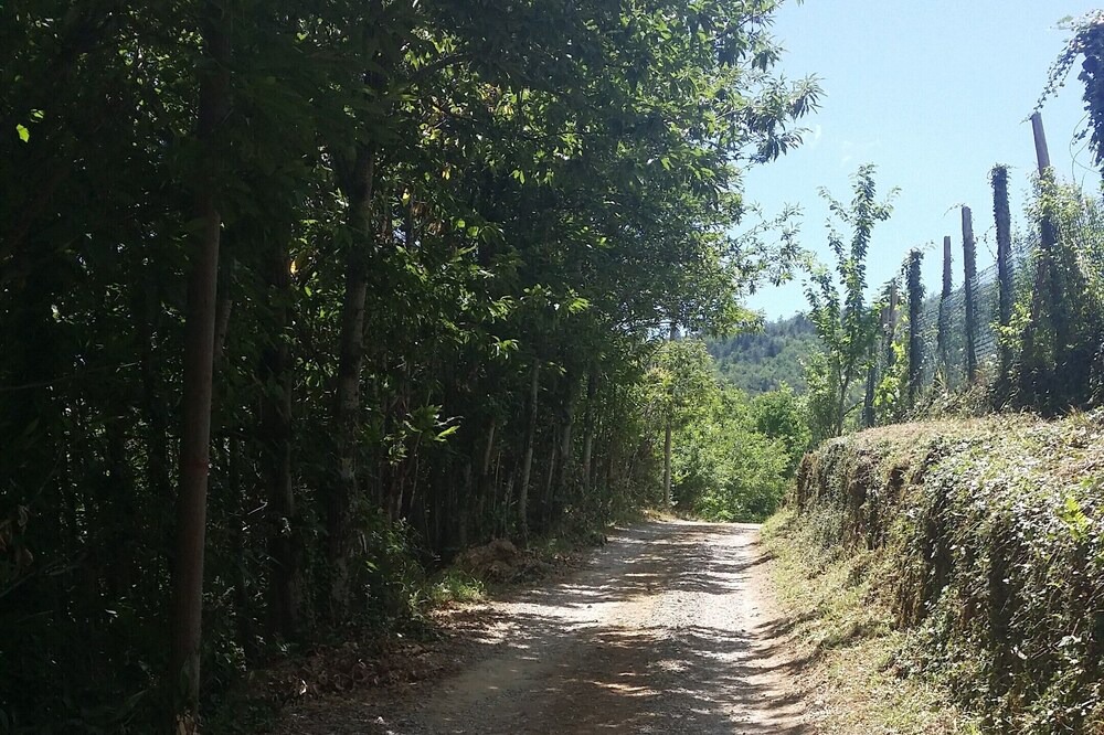 Photo of Outdoor in Talla
