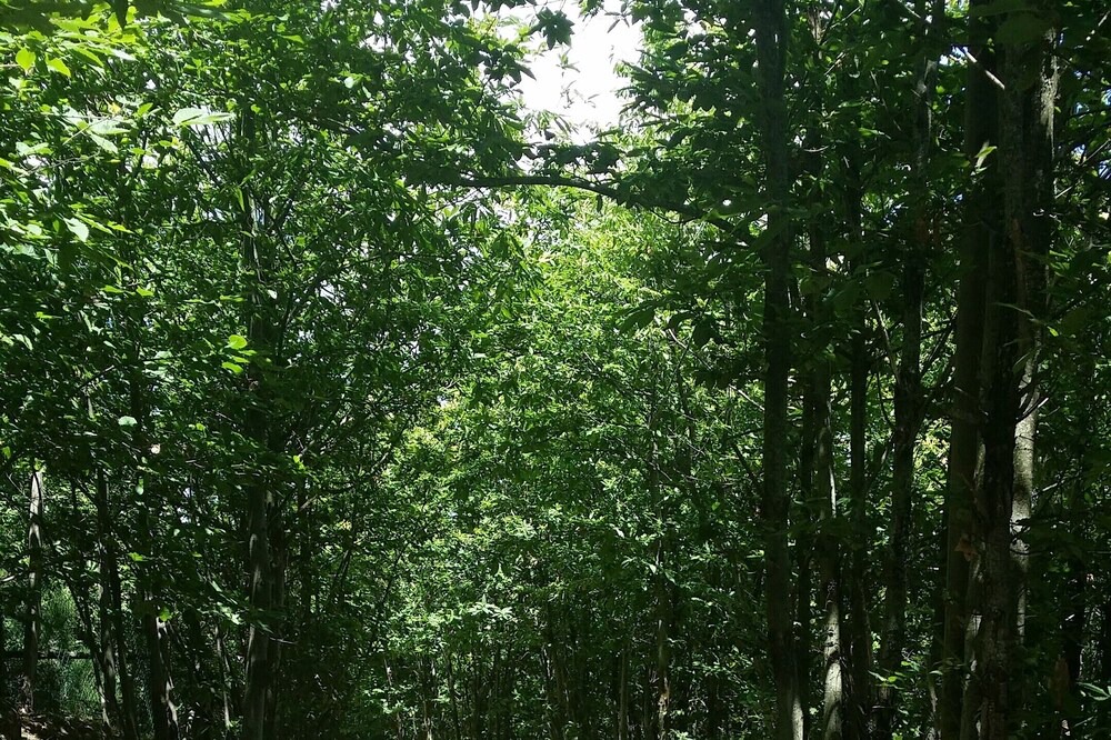 Photo of Outdoor in Talla
