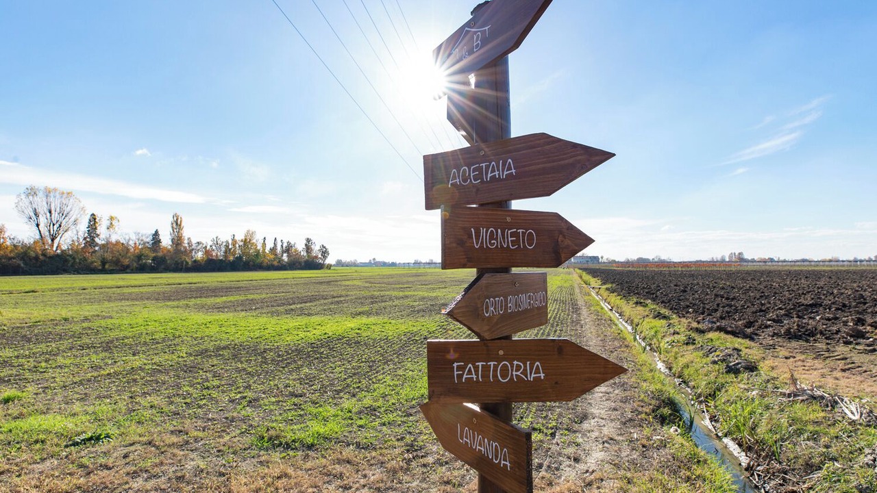Photo of Outdoor in Gargallo