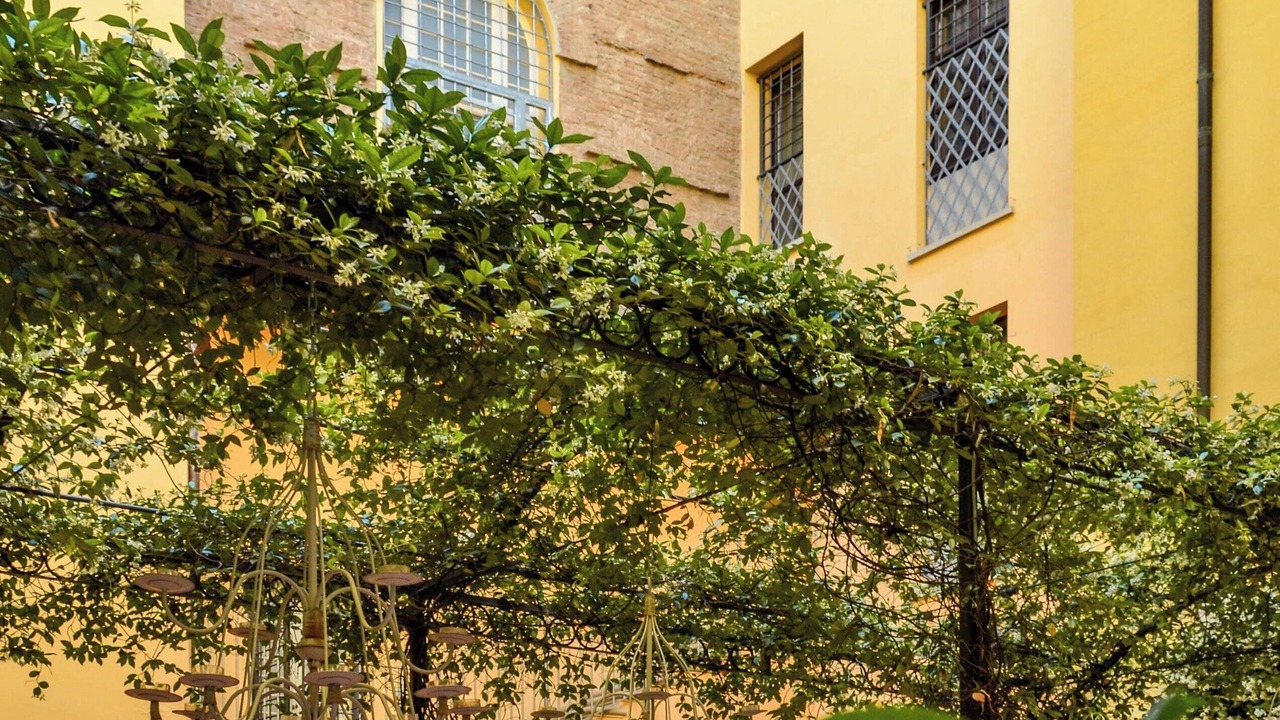 Photo of Outdoor in Historic Center
