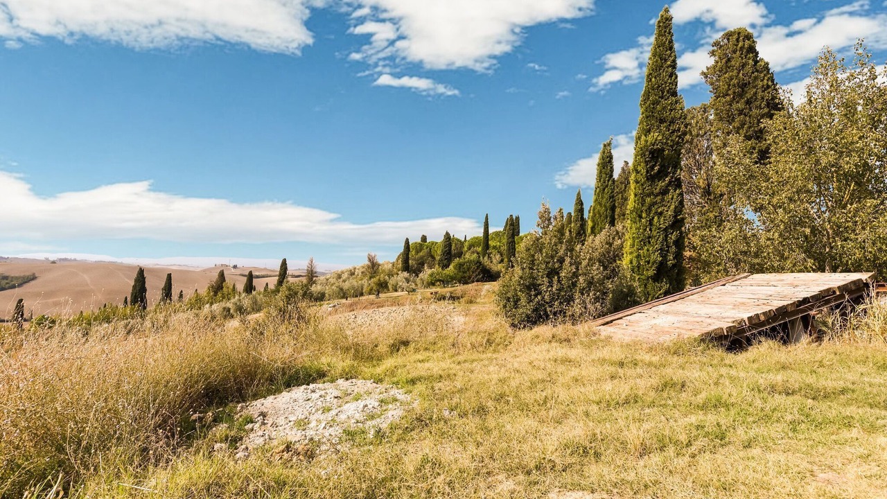 Photo of Outdoor in Ponte di Gabbiano