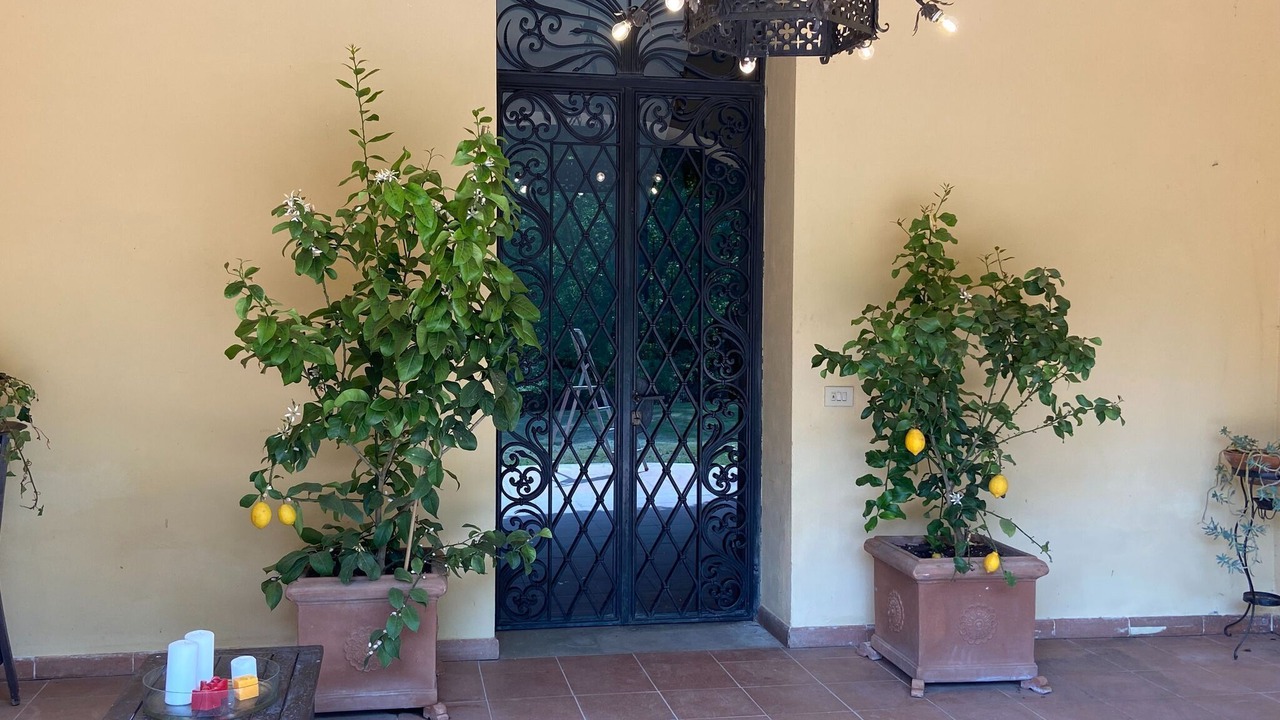 Photo of Outdoor in Reggello