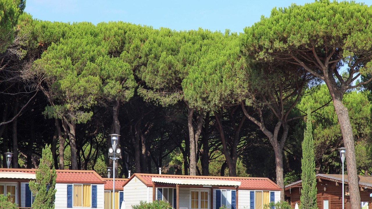 Photo of Outdoor in Zadina Pineta