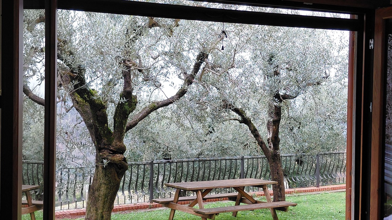 Photo of Outdoor in Bagno a Ripoli