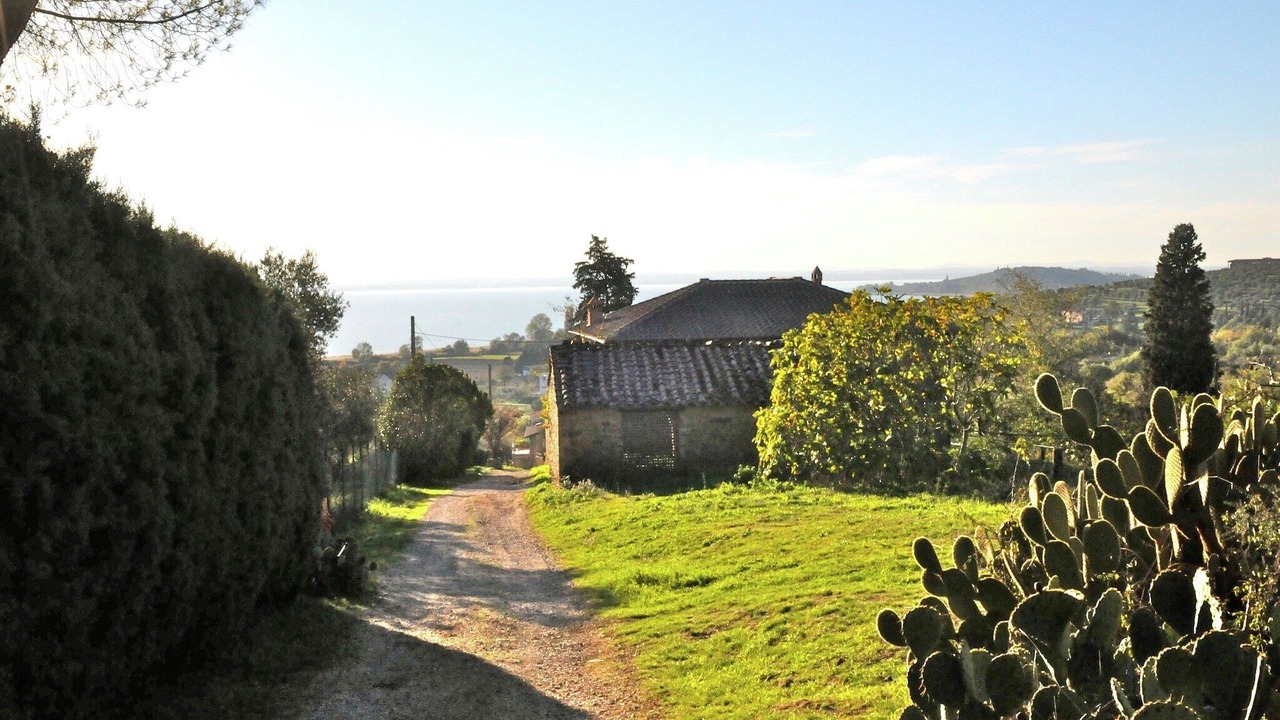 Photo of Others in Magione