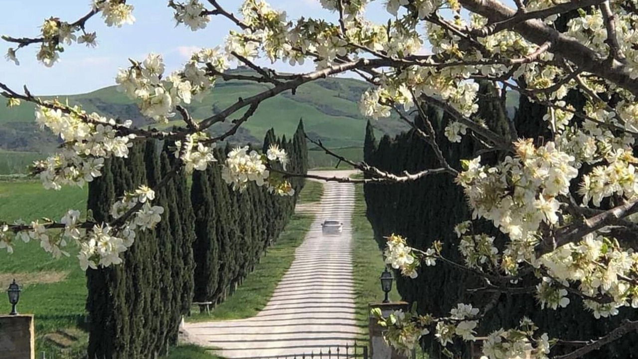 Photo of Others in Asciano