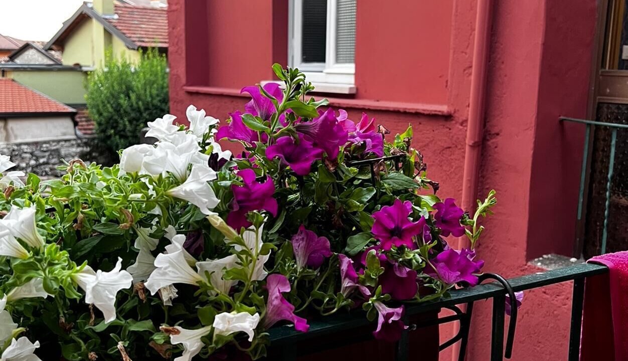 Photo of Outdoor in Toscolano Maderno