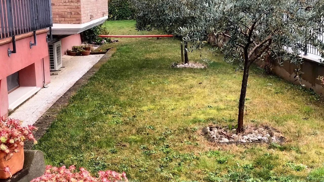 Photo of Outdoor in Coriano