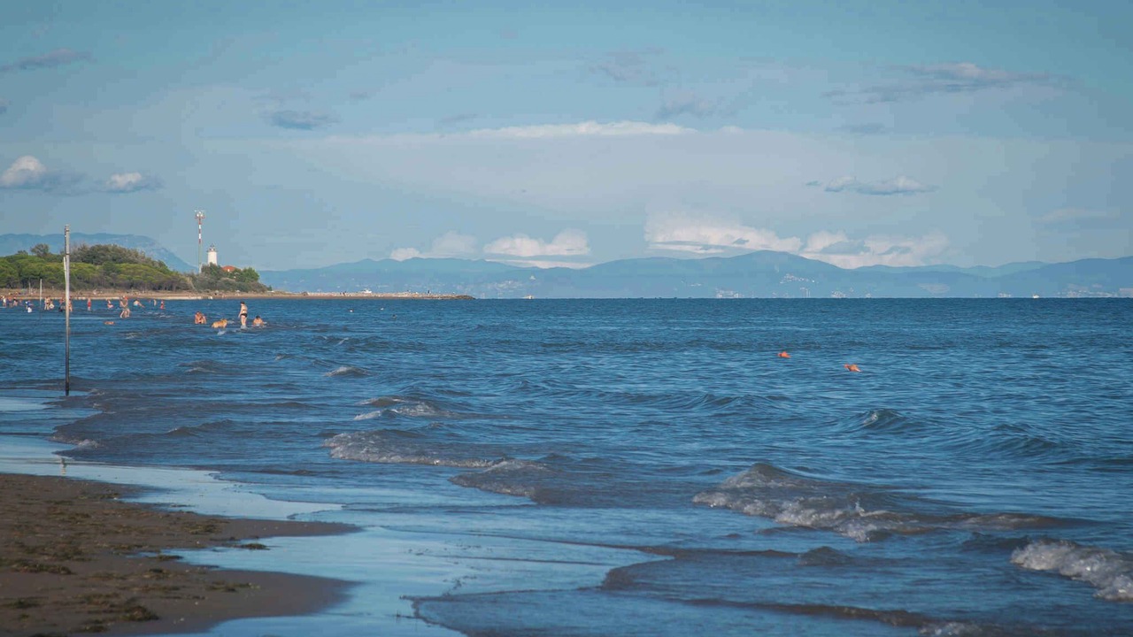 Photo of Others in Bibione Pineda