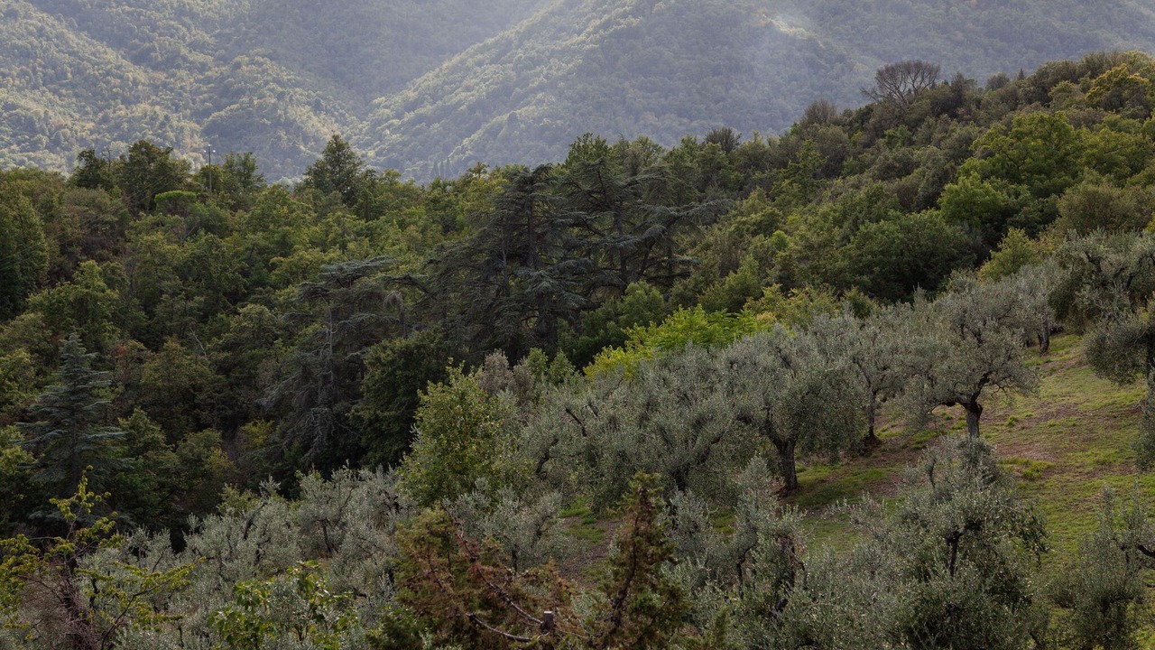 Photo of Others in Figline e Incisa Valdarno