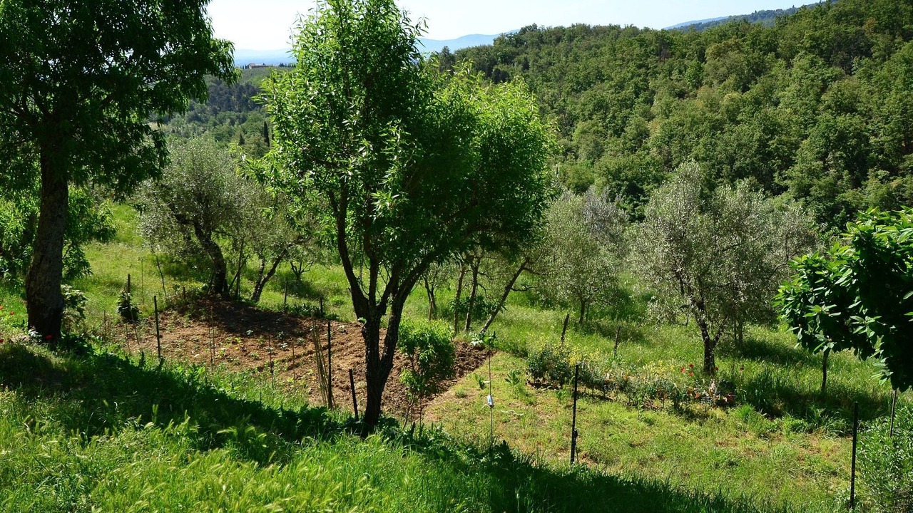 Photo of Others in Figline e Incisa Valdarno