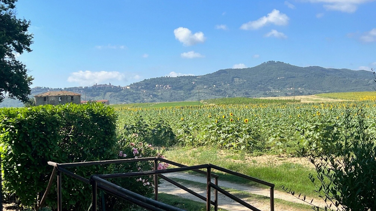 Photo of Outdoor in Castiglione del Lago