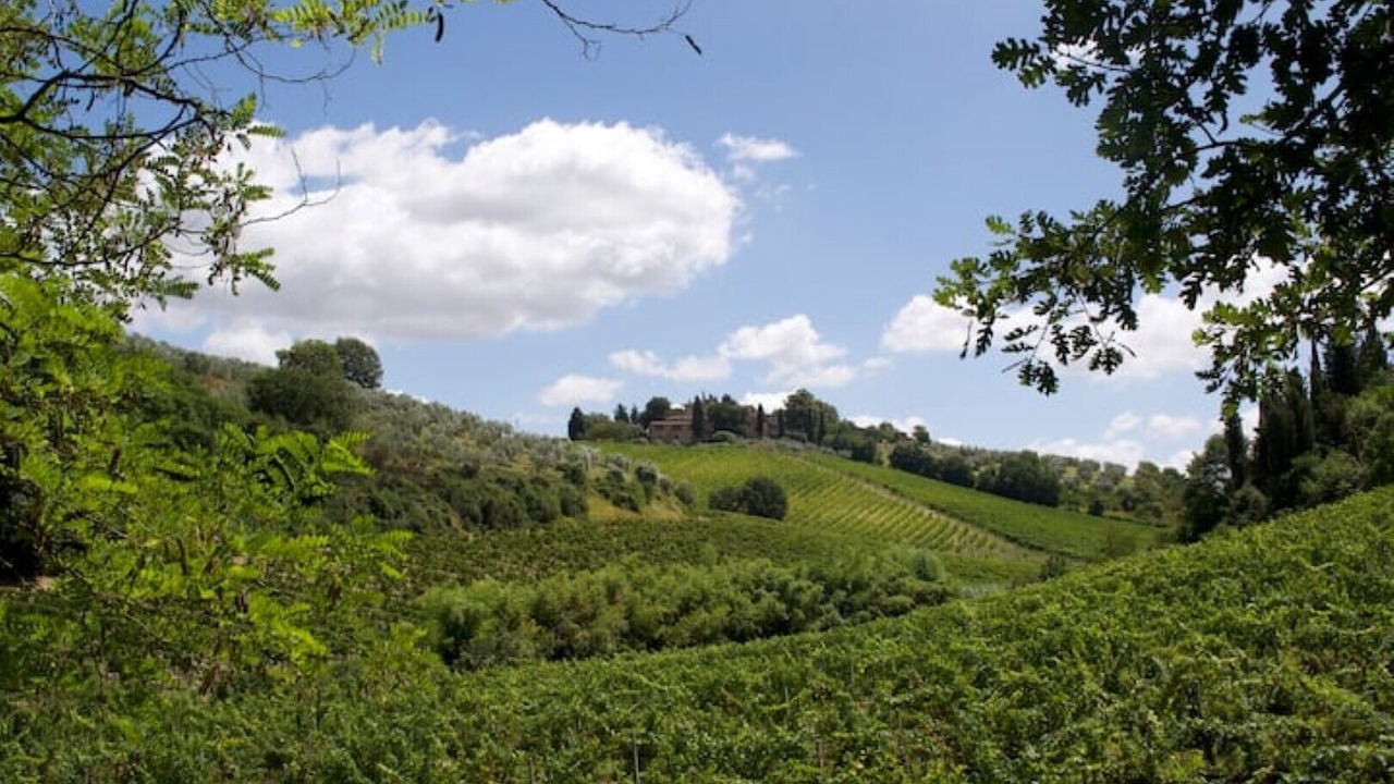 Photo of Outdoor in San Casciano in Val di Pesa
