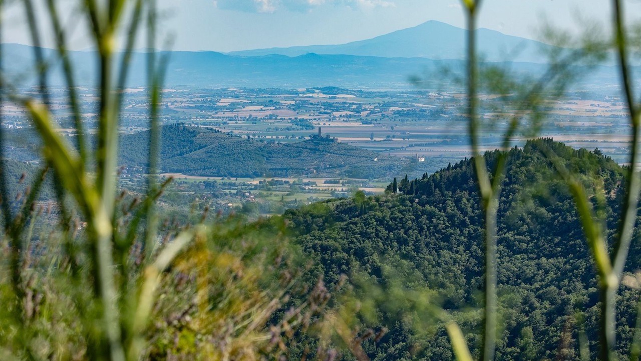 Photo of Others in Pieve di Chio