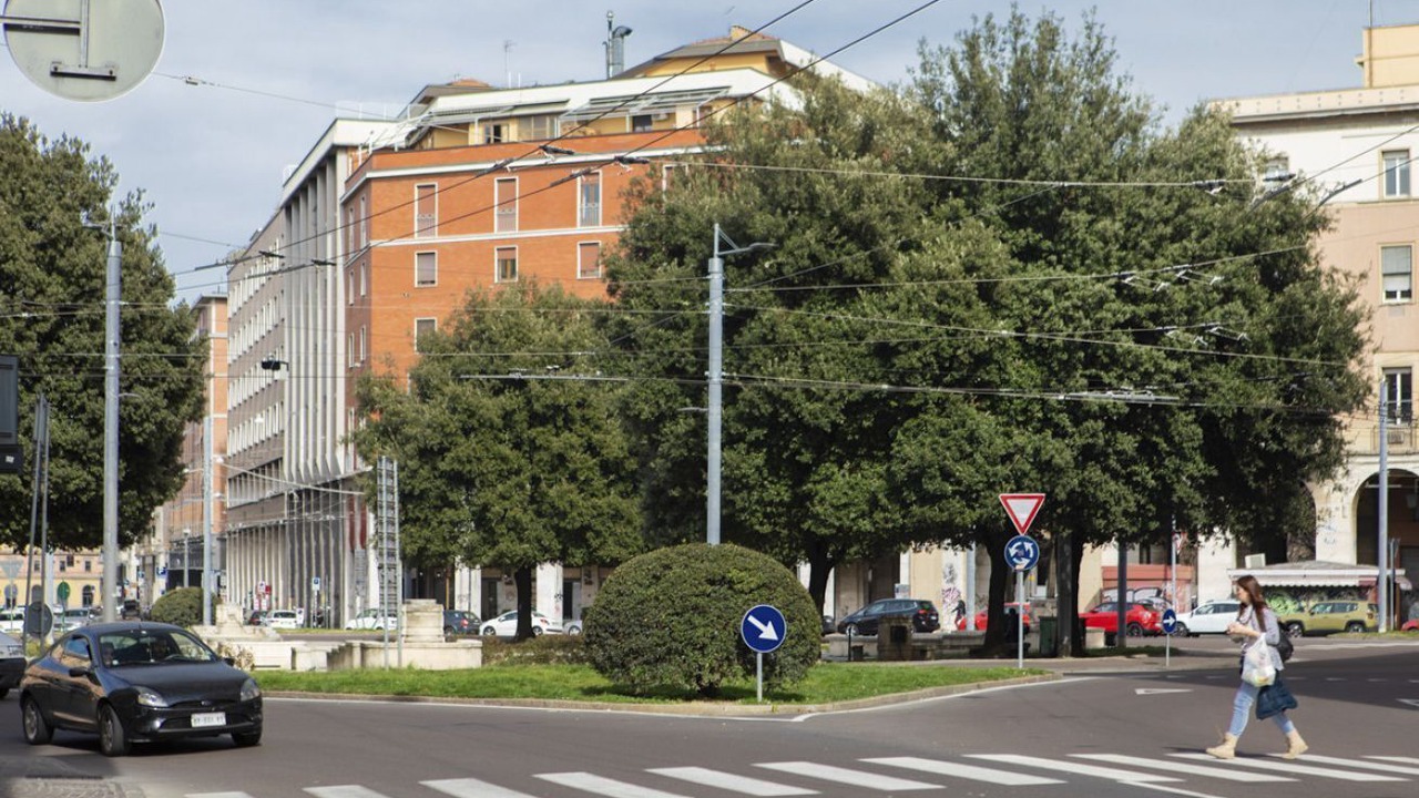 Photo of Others in Historic Center