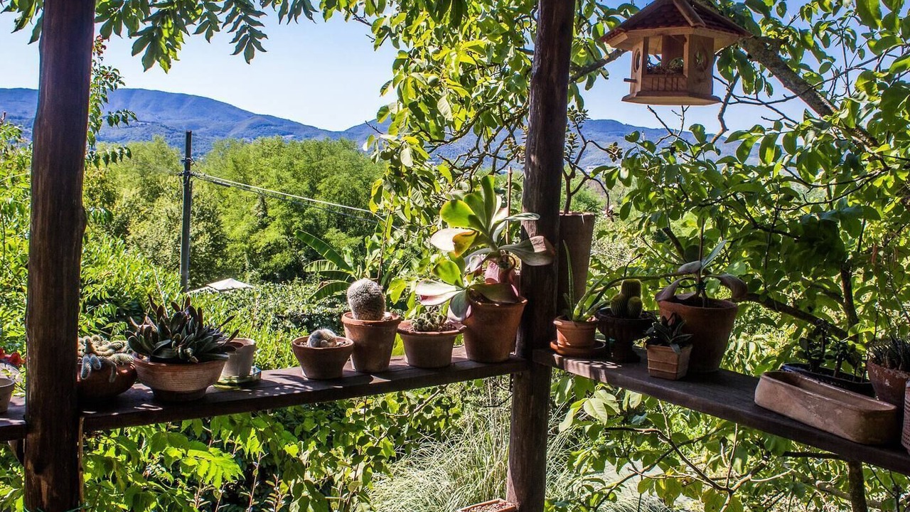 Photo of Outdoor in Vicchio