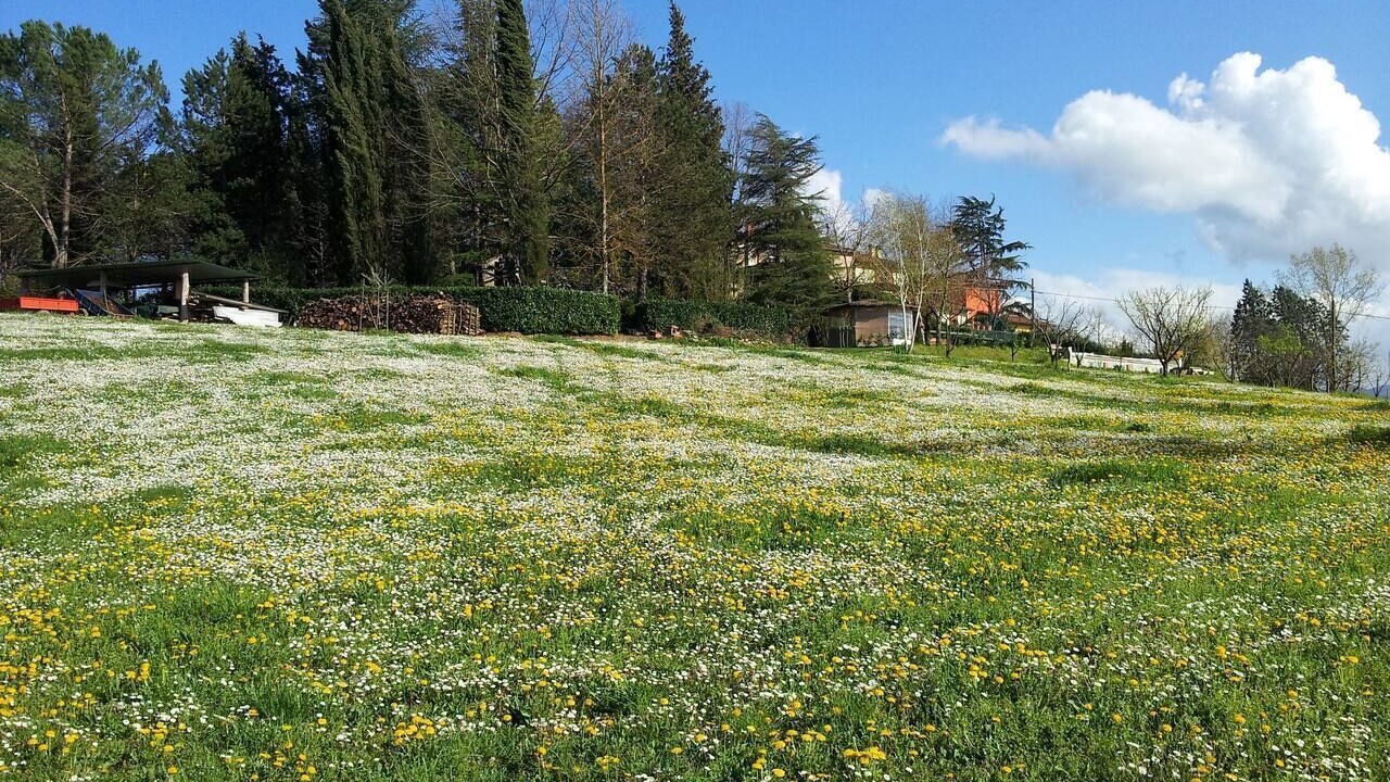 Photo of Outdoor in Vicchio