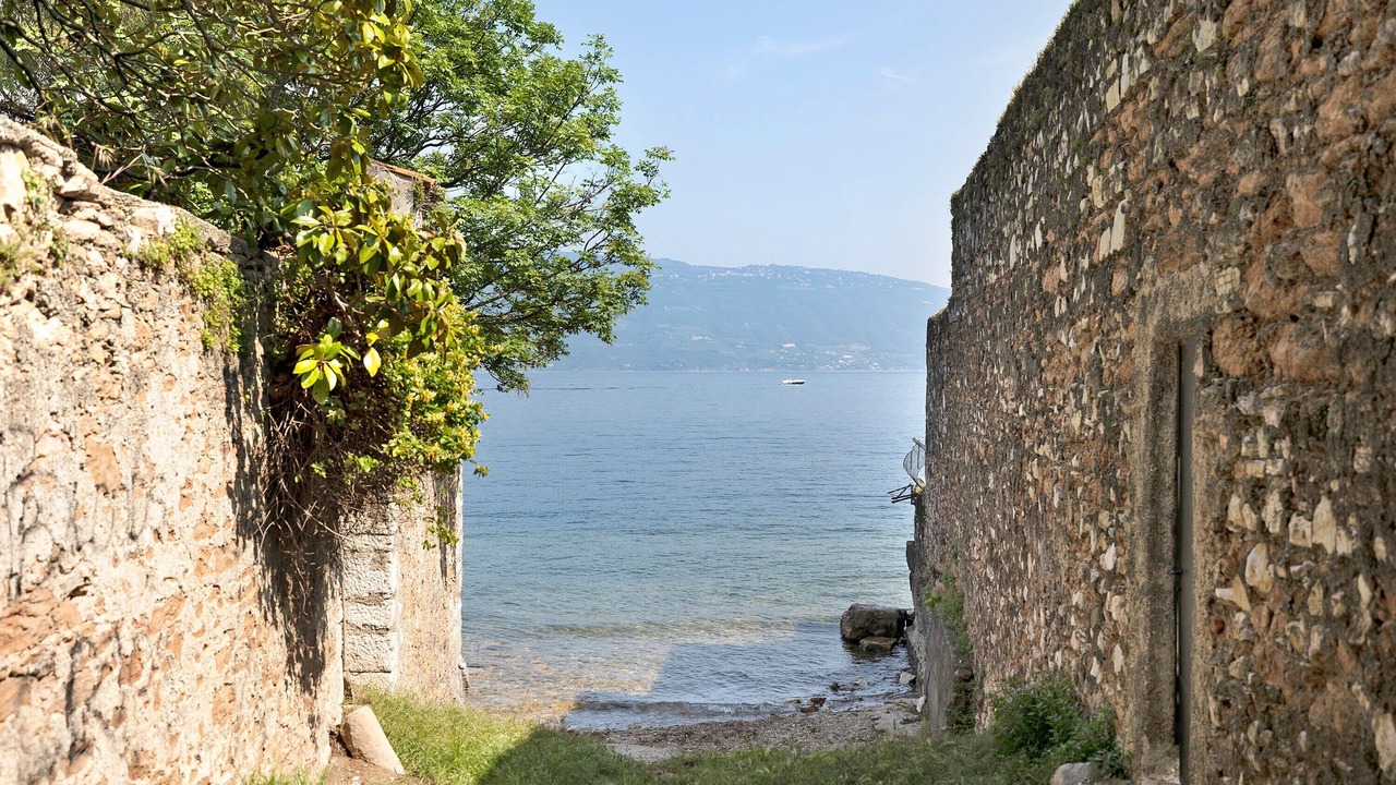 Photo of Others in Roina