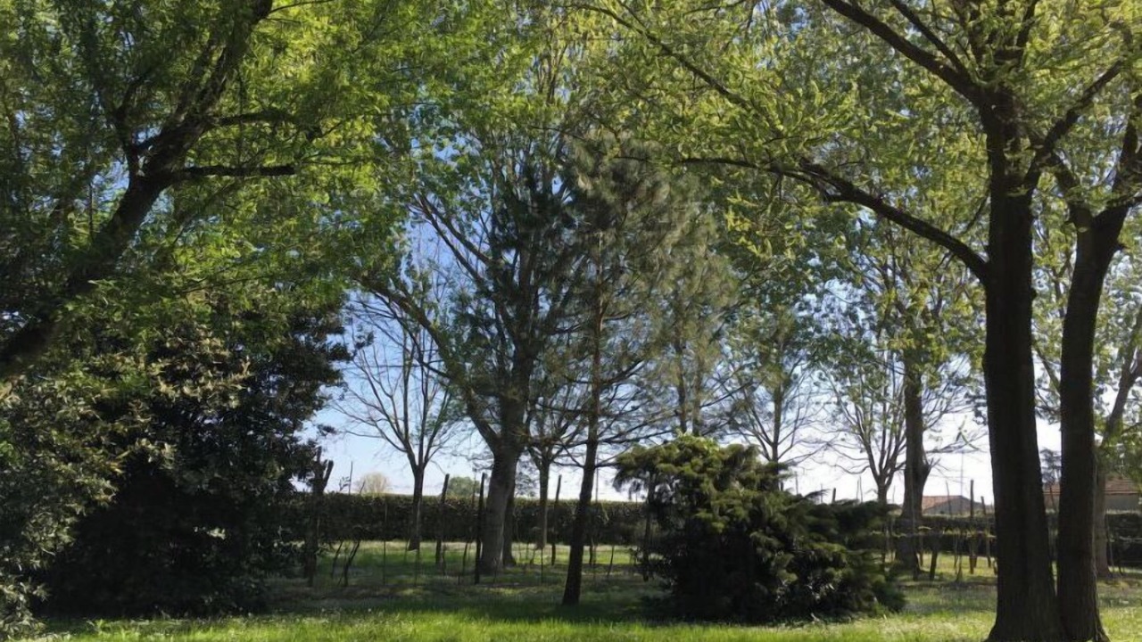 Photo of Outdoor in Mezzano