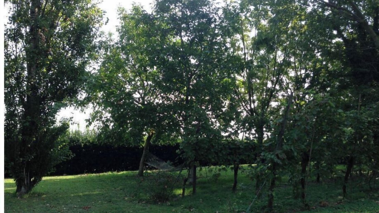 Photo of Outdoor in Mezzano