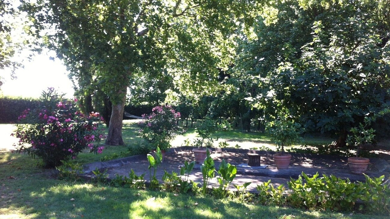 Photo of Outdoor in Mezzano