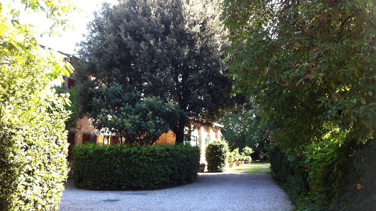 Photo of Outdoor in Mezzano