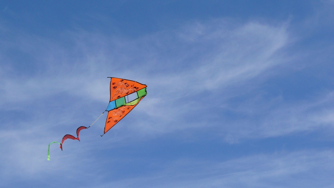 Photo of Others in Bibione Lido del Sole