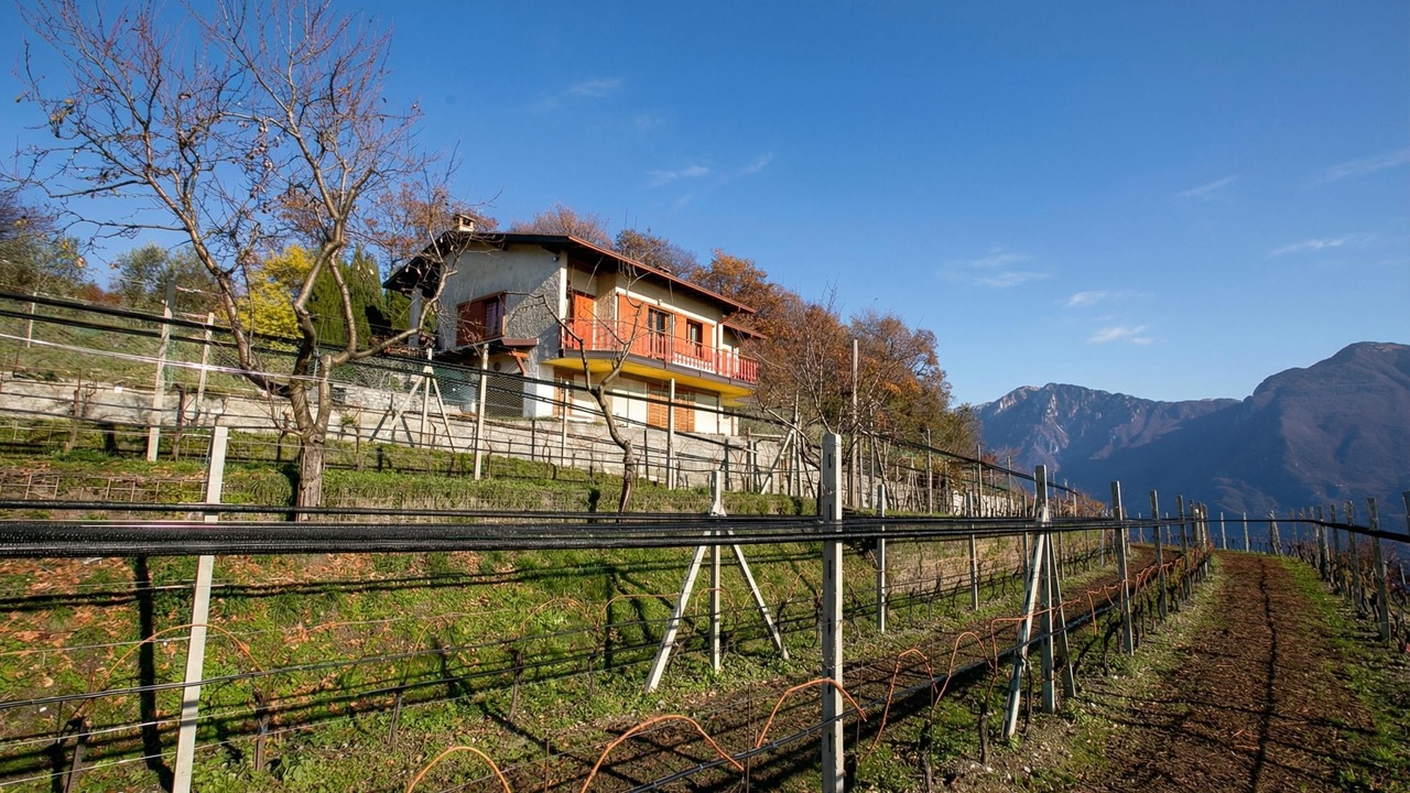 Photo of Outdoor in Voltino