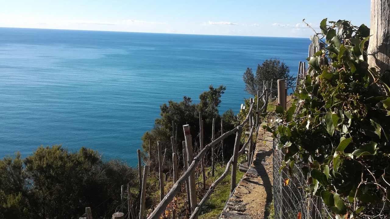 Photo of Others in Riomaggiore
