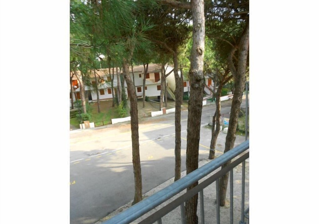 Photo of Others in Rosapineta