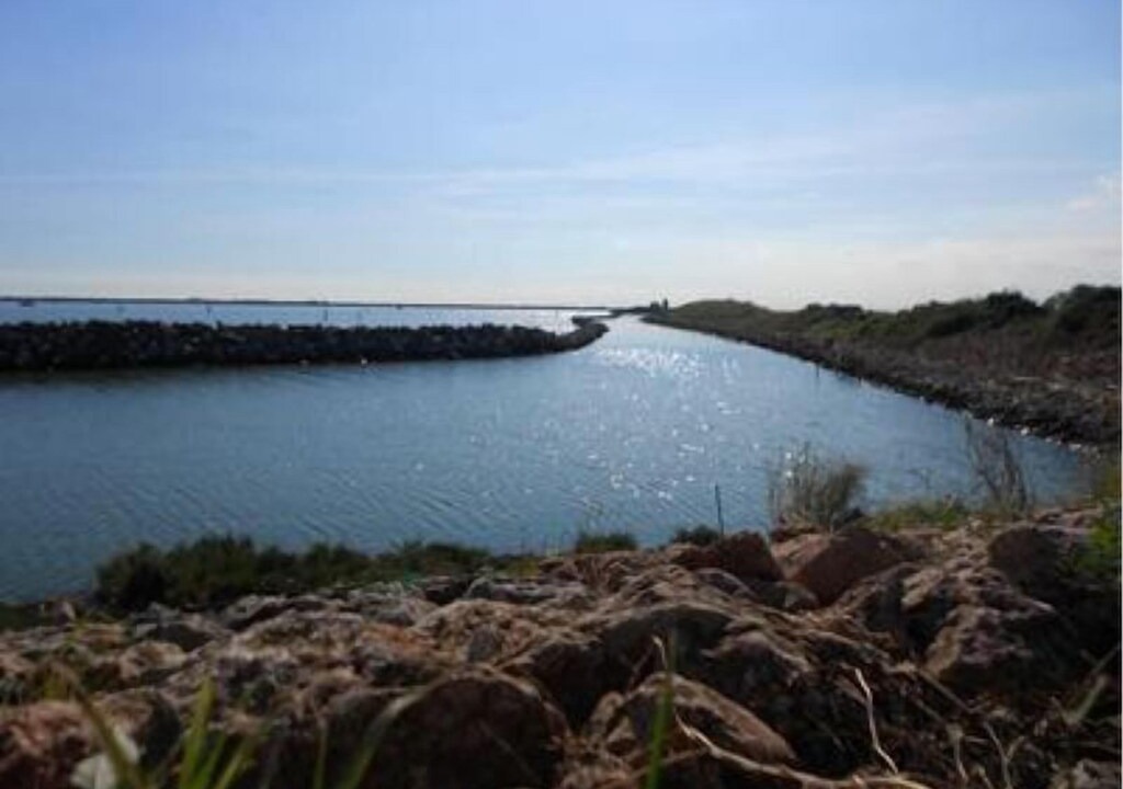 Photo of Outdoor in Rosapineta