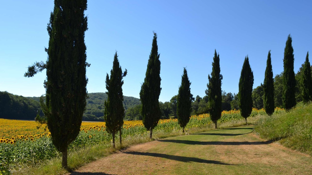 Photo of Others in Simignano