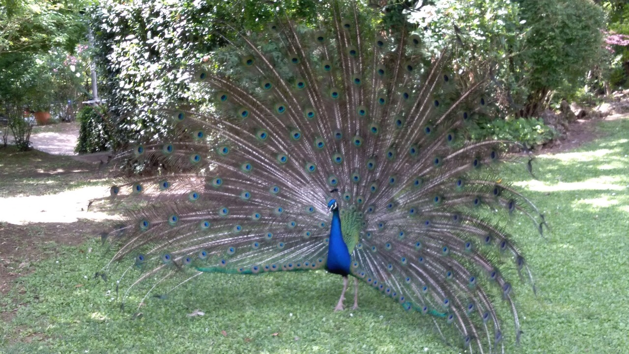 Photo of Outdoor in Scandicci