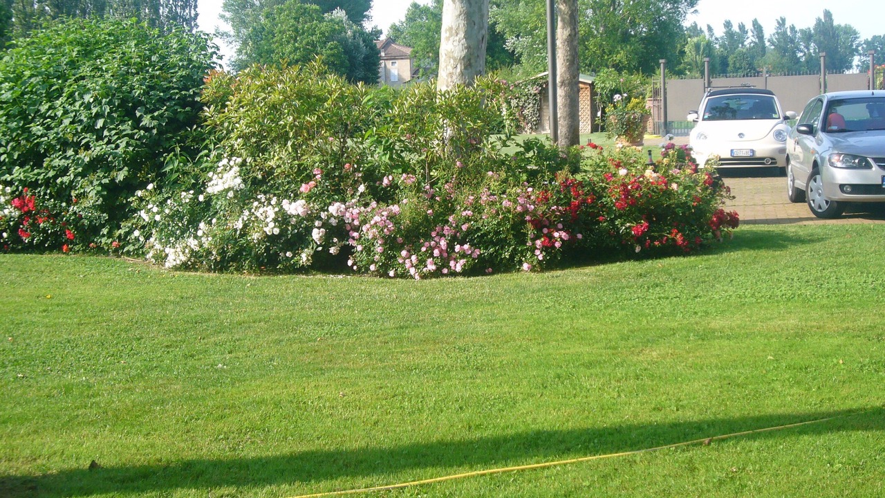 Photo of Outdoor in Gargallo