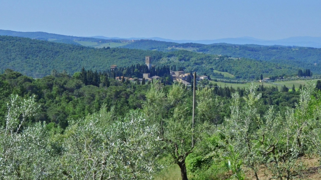 Photo of Others in Tavarnelle Val di Pesa