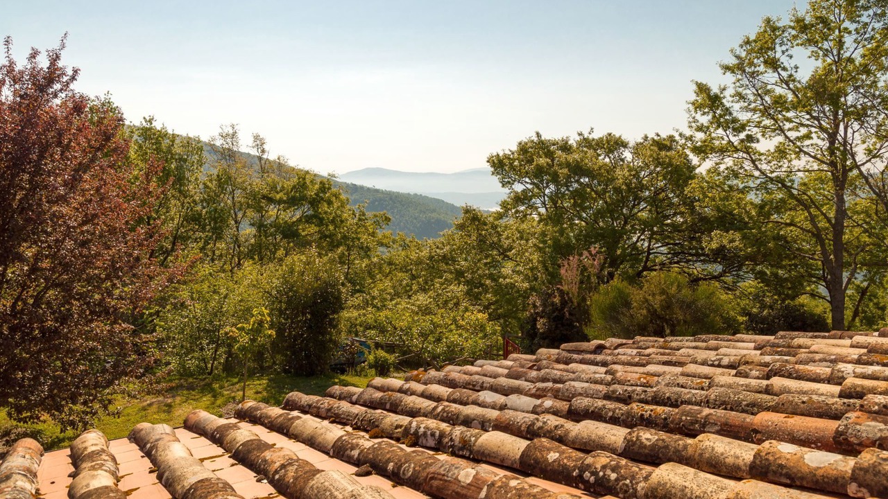 Photo of Others in Cortona