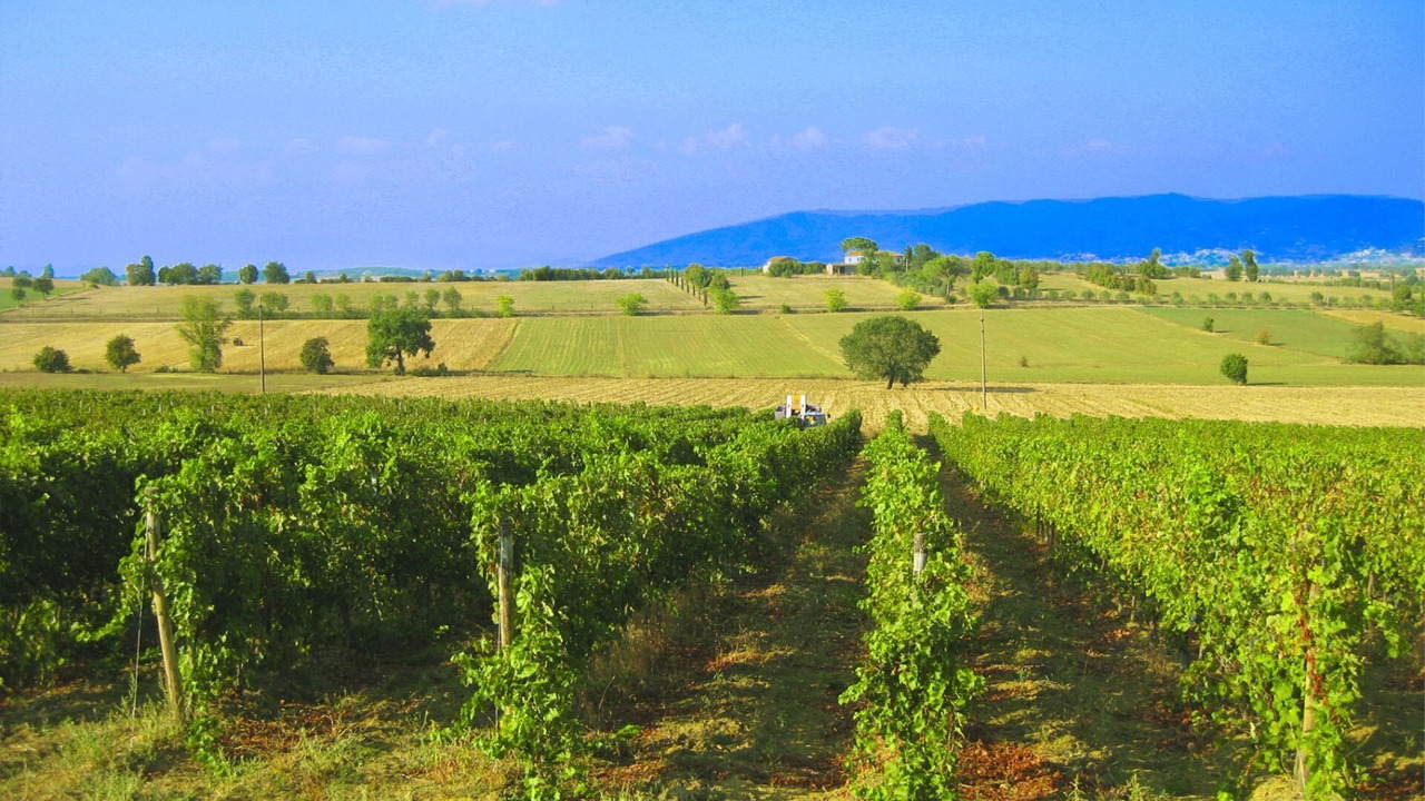 Photo of Outdoor in Cortona