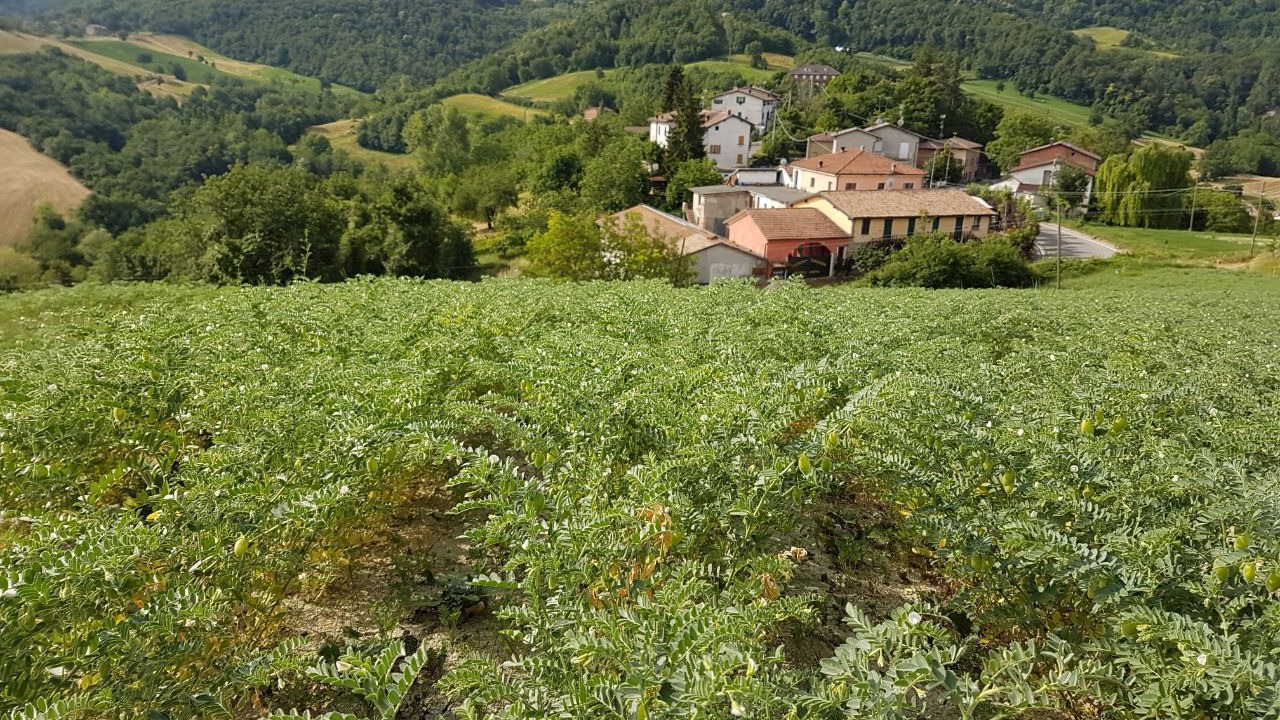 Photo of Outdoor in Sordiglio