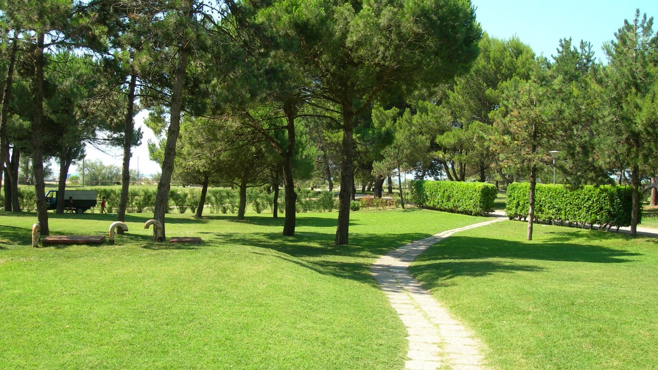 Photo of Outdoor in Bibione Lido dei Pini
