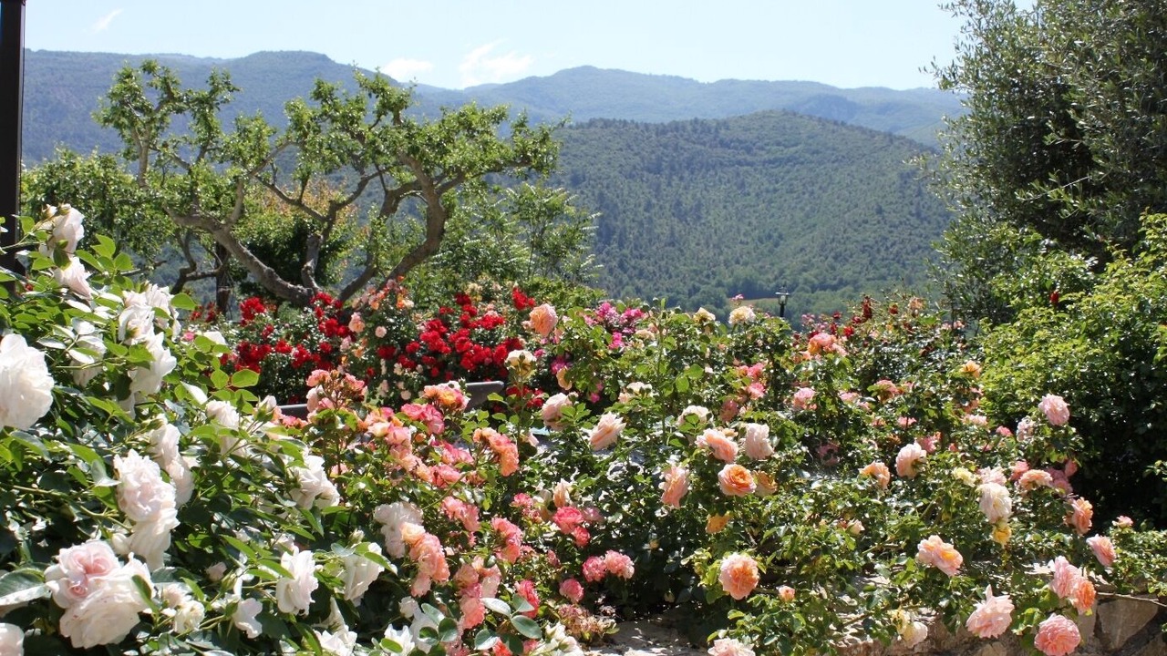 Photo of Outdoor in Spoleto