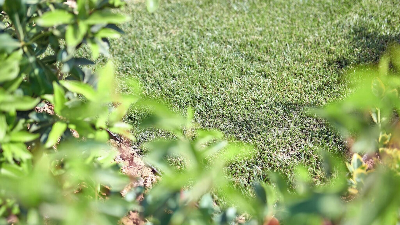 Photo of Outdoor in Faro