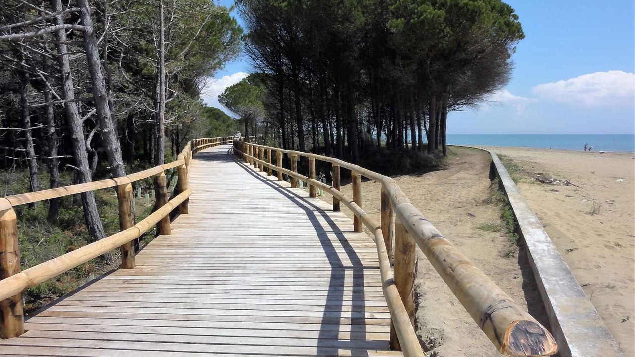Photo of Others in Bibione Lido del Sole